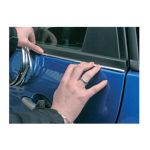 Autogear Auto Guard Trim 6mm x 5m Chrome