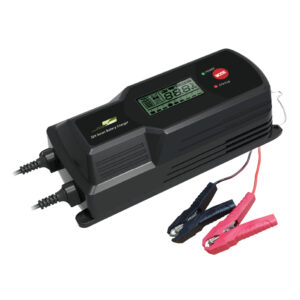 Pro User 22AMP Smart Battery Charger - 12/24V