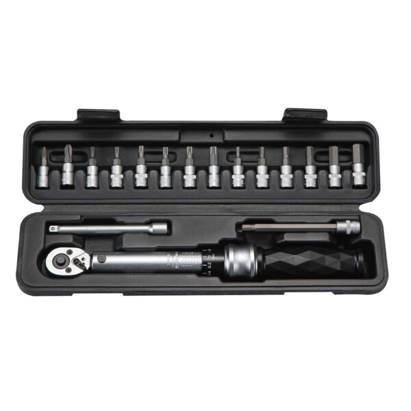 Ampro 17 Piece 1/4" Drive Industrial Mini Torque Wrench Set (5 - 25Nm)