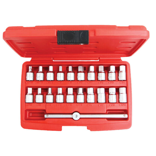 Ampro 21 Piece 3/8" Inch Drive Mast Drain Plug Keyset