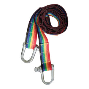 Autogear 5 Ton Tow Strap with D Shackle